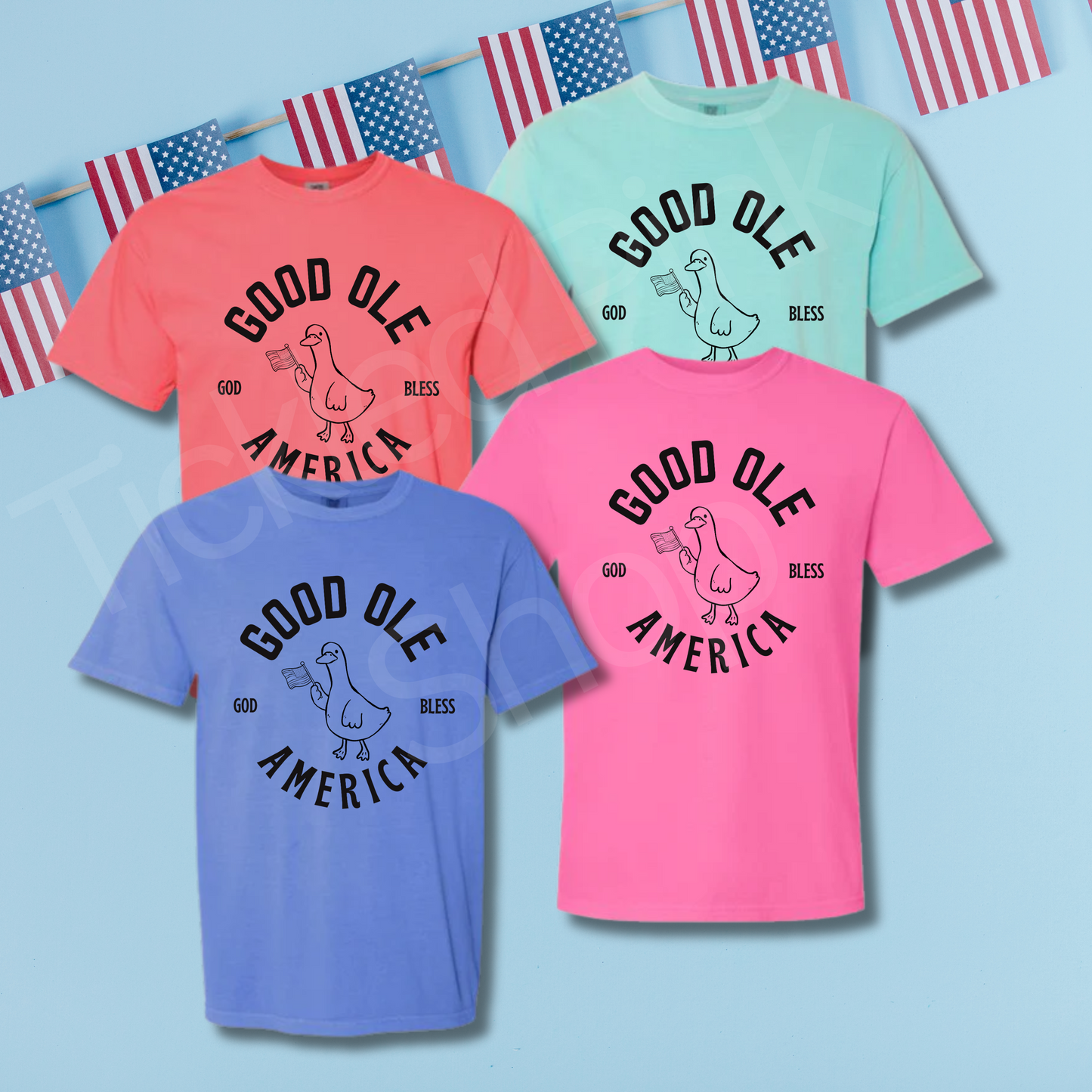 Silly American Goose Solid CC Tee- 4 Colors