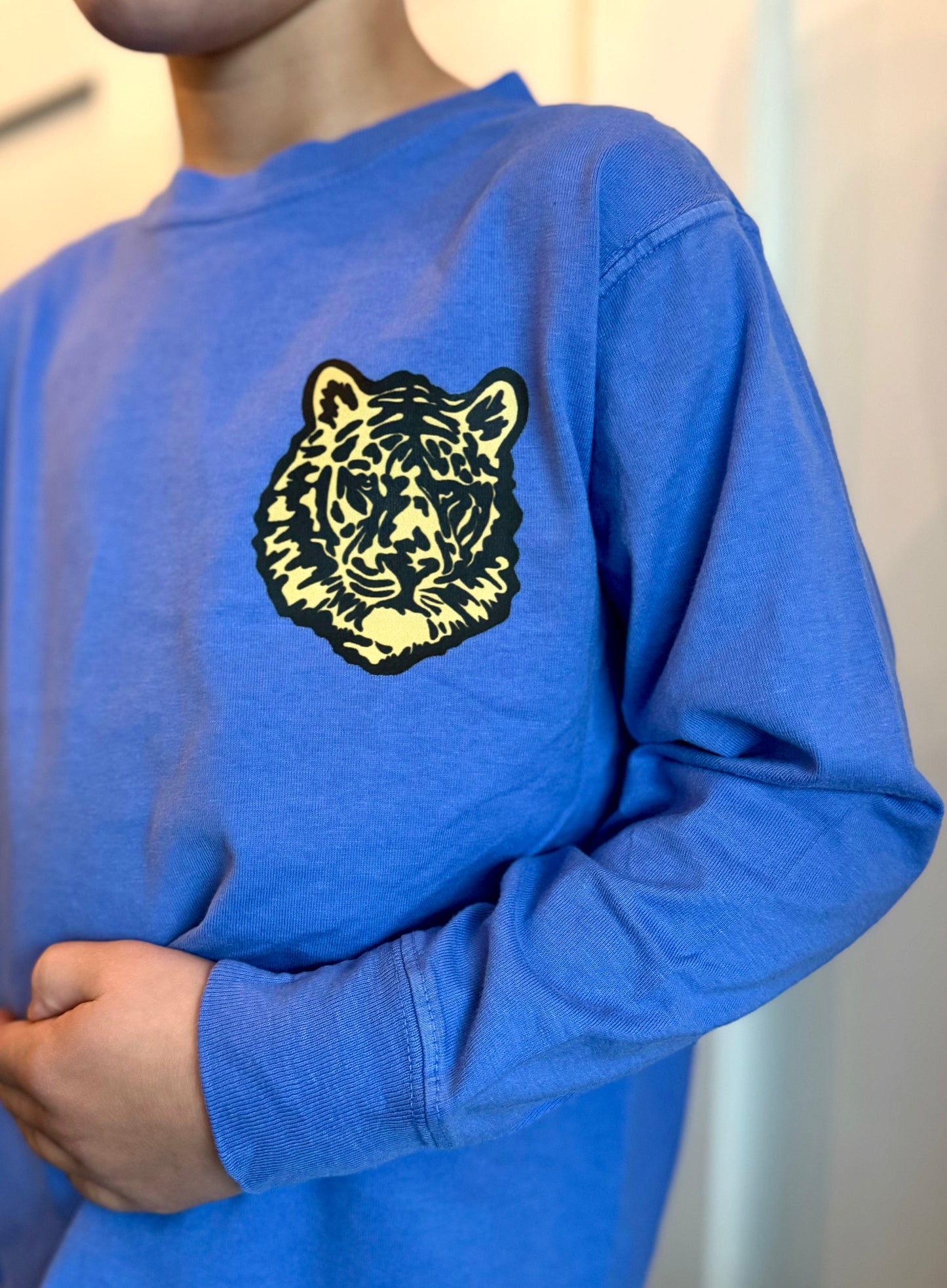 Retro Tigers Long Sleeve Tee Youth/Adult Sizes (3 Colors Available)